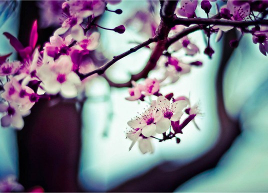 Mozilla overhauling Firefox smartphones